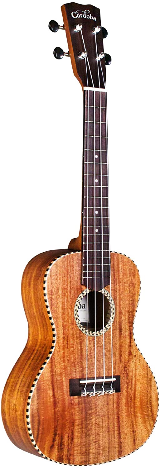 Best Concert Ukulele For Intermediate Players Eric Sardinas