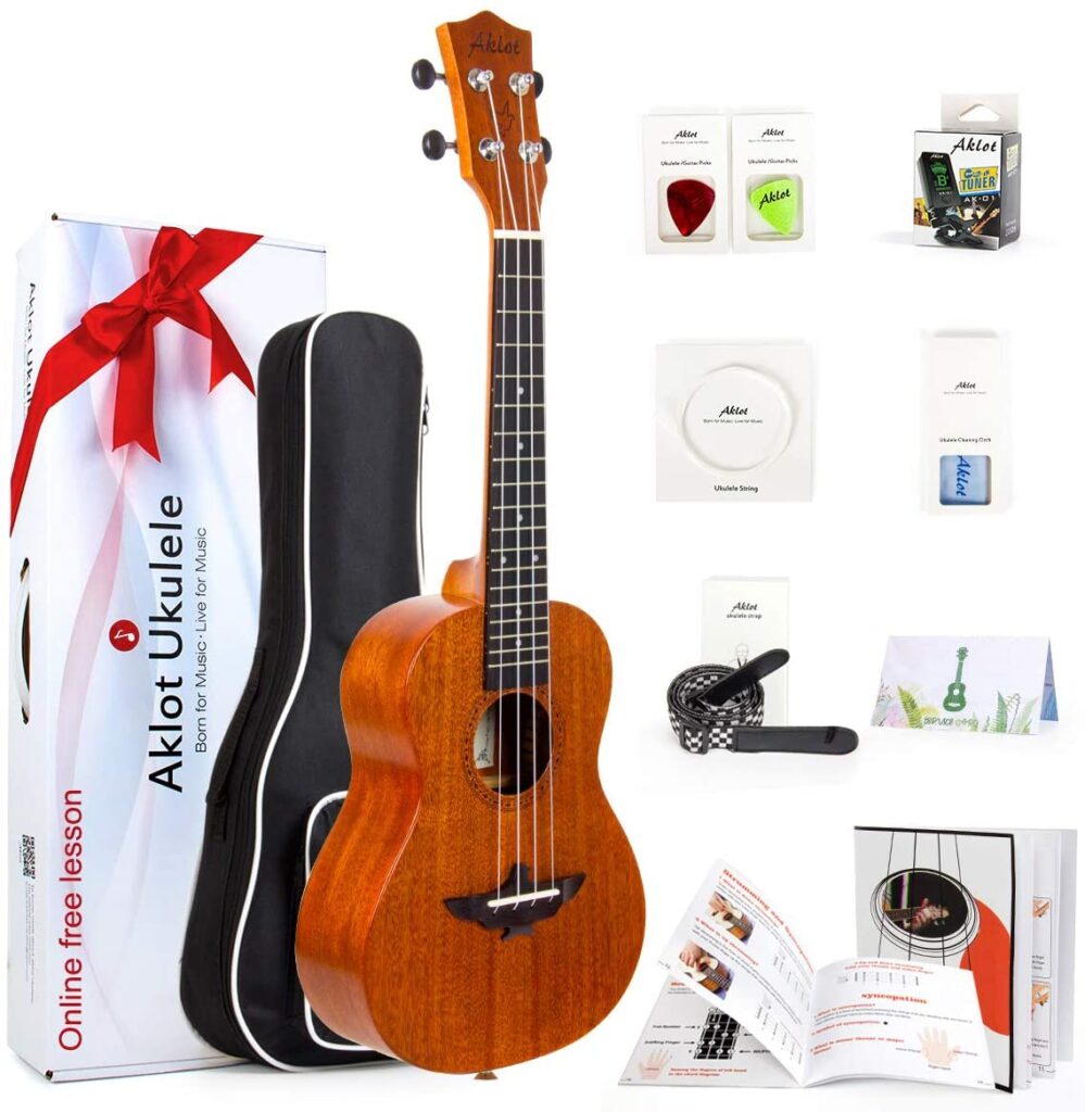 Best Tenor Ukulele Under $200 - Eric Sardinas