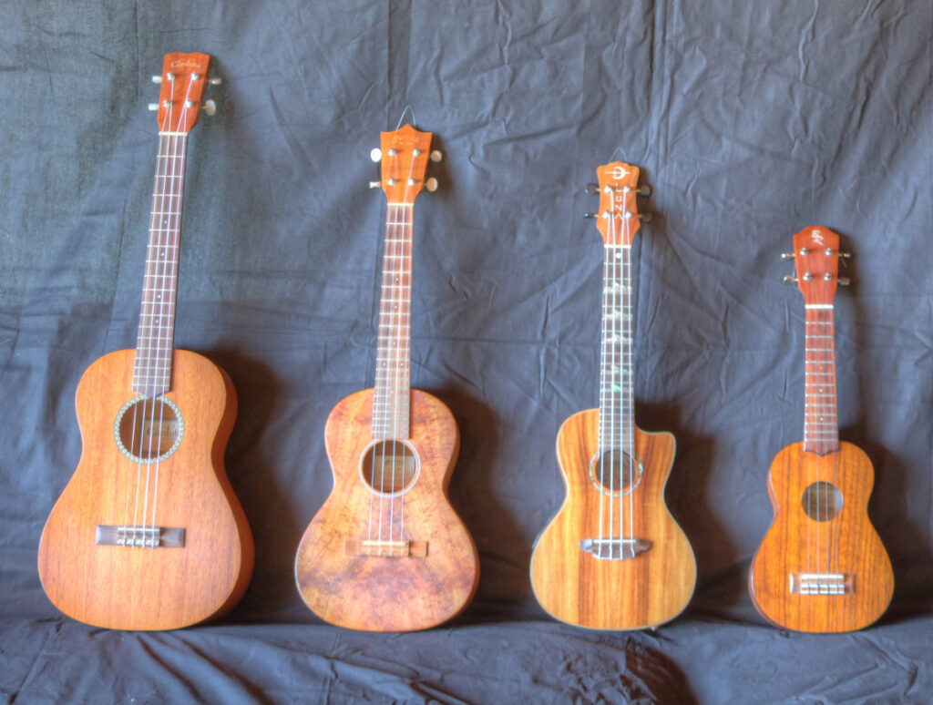 Tenor vs soprano ukulele eric sardinas