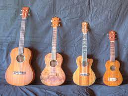 Difference Between Soprano And Concert Ukulele