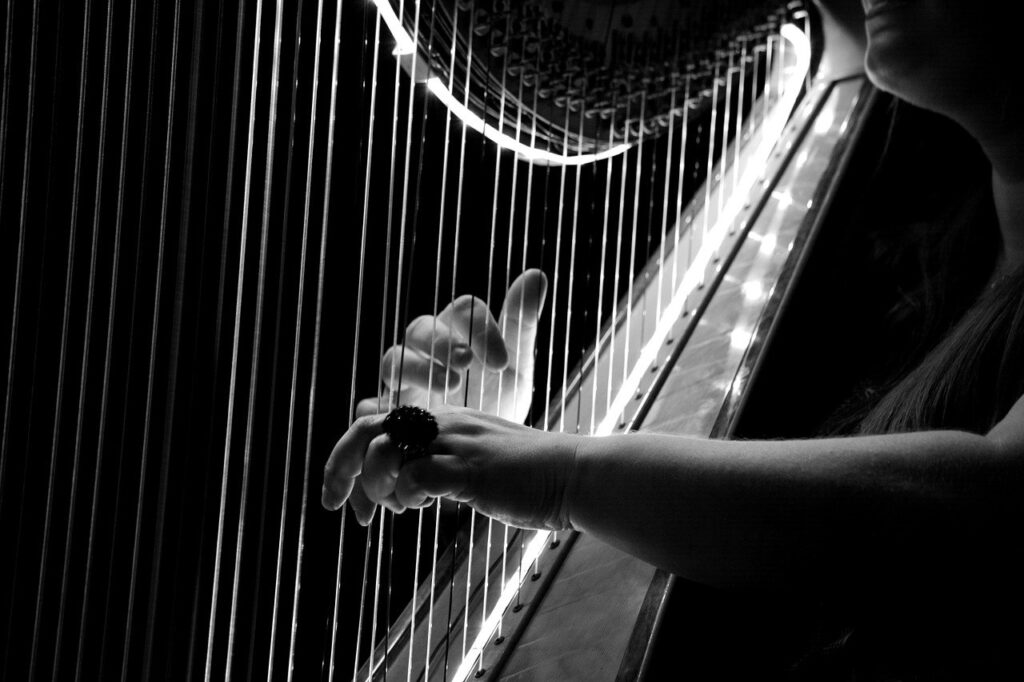 How Many Strings Does An Orchestra Harp Have? Eric Sardinas