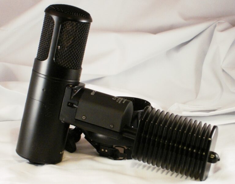 Who Used Sony C800G Microphone Eric Sardinas